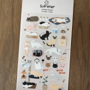 meow (3).jpg