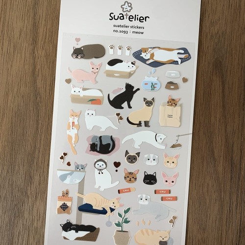 meow (3).jpg