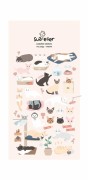meow (1).jpg