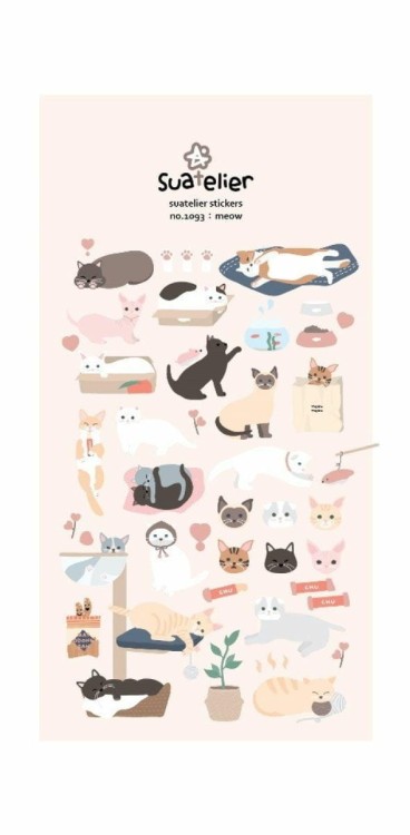 meow (1).jpg