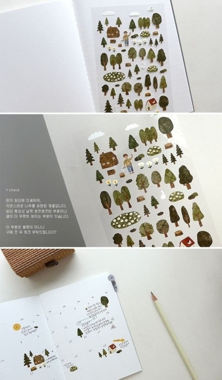 forest (3).jpg