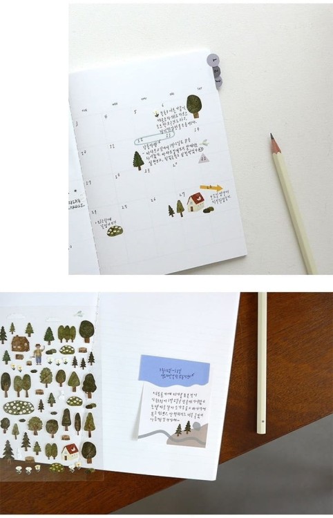 forest (4).jpg