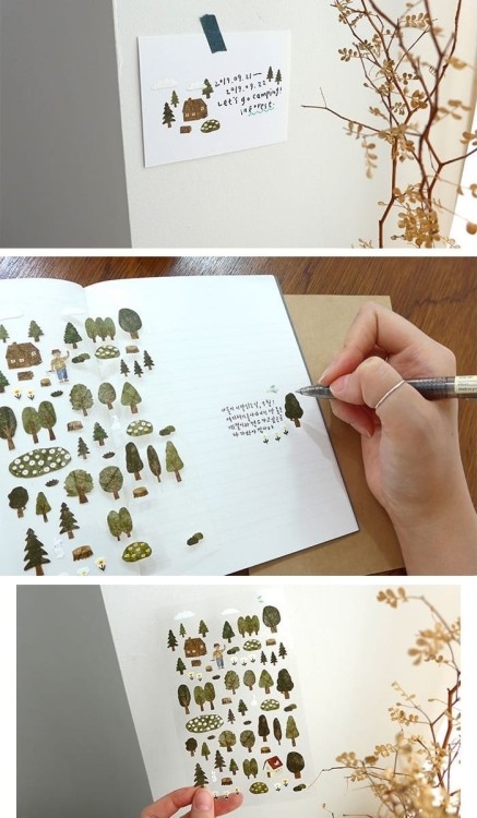 forest (5).jpg
