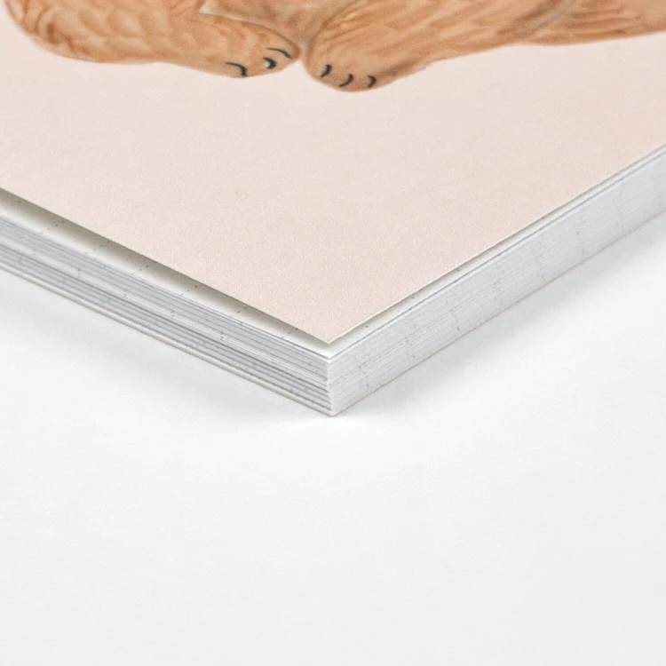 14830581_1004 (1).jpg