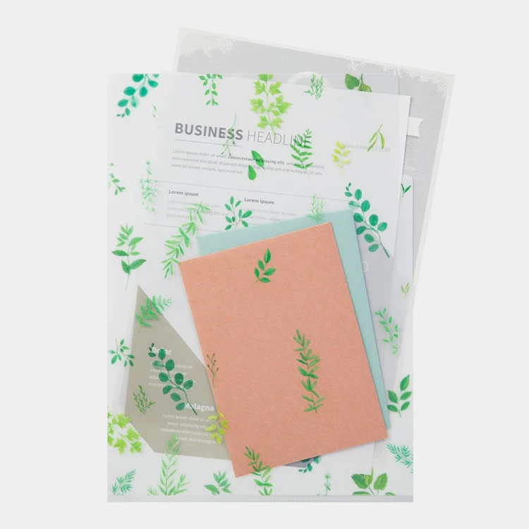 folder-midori-a4-liscie (2).jpg
