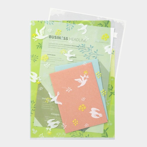 folder-midori-a4-biale-ptaki (2).jpg