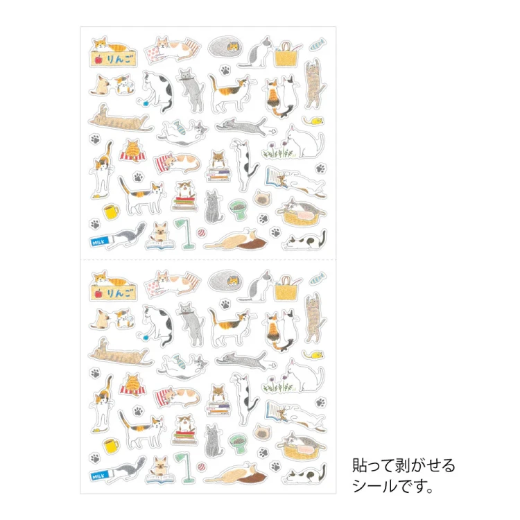 koty S3.webp