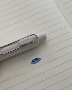 IMG_7353.jpeg