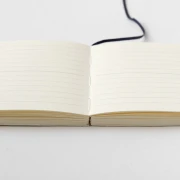 mda7linee.webp