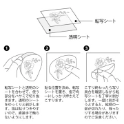 40605.webp