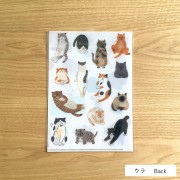 16709580_17.jpg